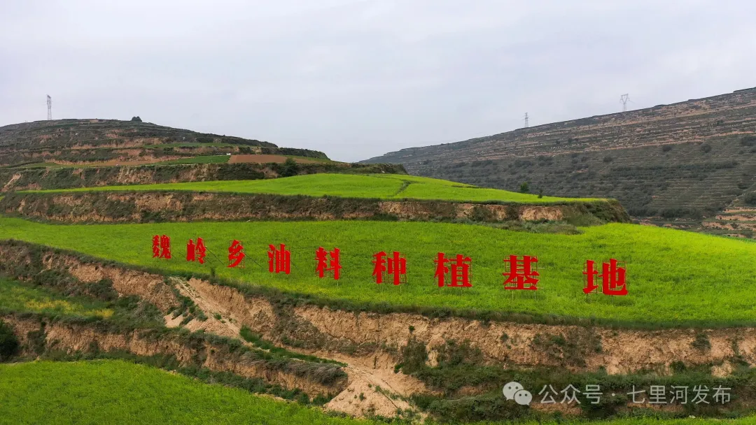 DJI_0032.MP4_000010.378.jpg