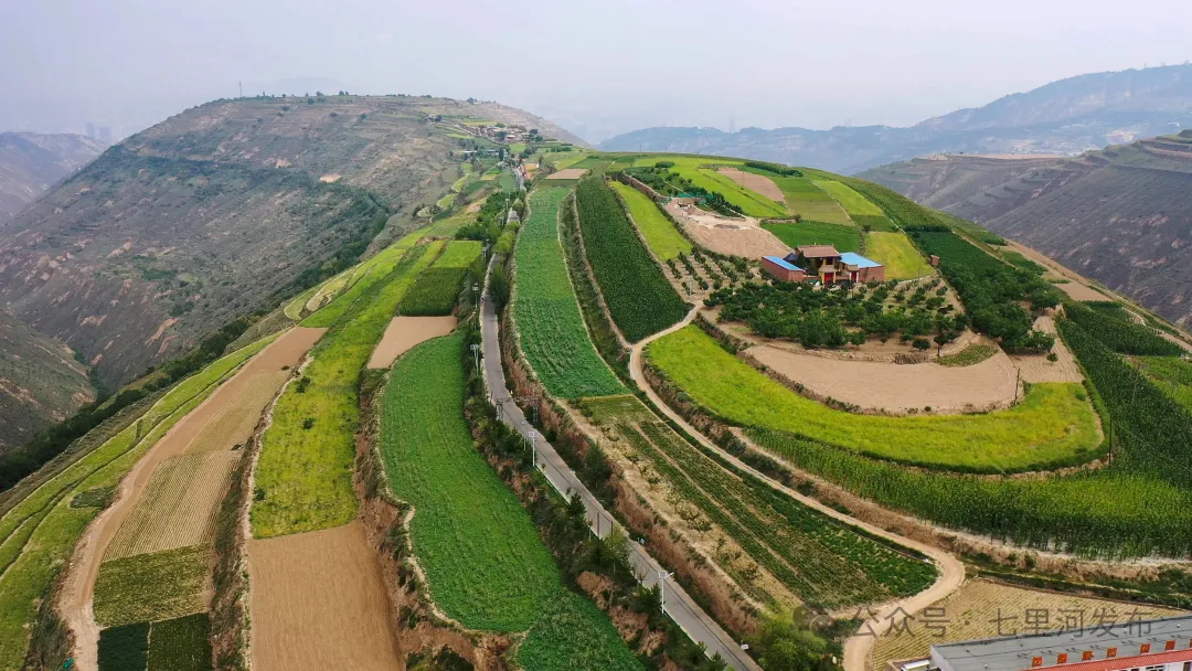 DJI_0049.MP4_000010.267.jpg